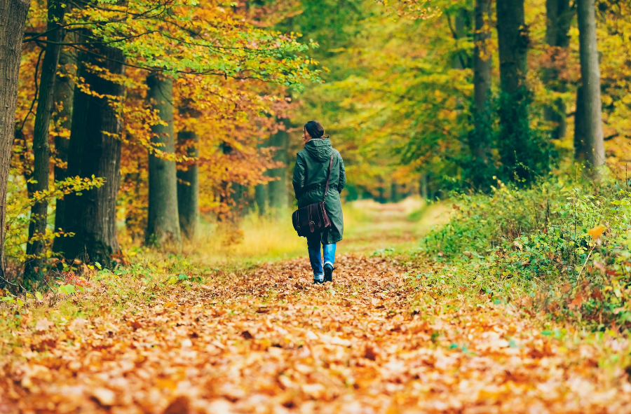 Walking in the leaves to move your body for health benefits.